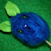 20150331143115_Anita Mentel,