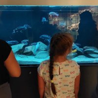 292696840_585407673094197_6883498425265235426_n (1)