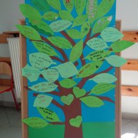 341545726_769188534619354_8932770299116133449_n (1)