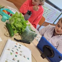 437481890_896971588893552_8699728869102735042_n (1)