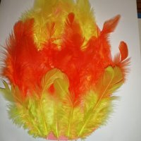 Agnieszka Podg&oacute;rska 7 a