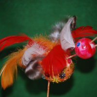 Karolina Bieńkowska