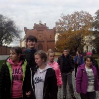 Park Strzelecki  (1)