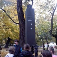 Park Strzelecki  (6)