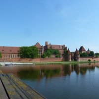 Rozewie maj 2017 Malbork (1)