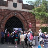 Rozewie maj 2017 Malbork (10)