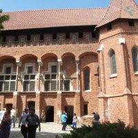 Rozewie maj 2017 Malbork (6)