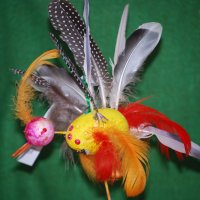 Weronika Kiełkowicz