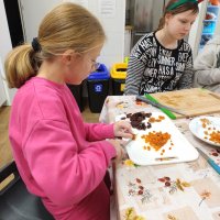 WhatsApp Image 2025-12-03 at 08.23.18