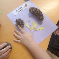 WhatsApp Image 2025-12-18 at 08.35.26 (2)