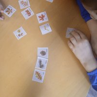 WhatsApp Image 2025-12-18 at 08.35.26 (3)