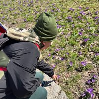 Zdjęcie WhatsApp 2025-03-27 o 12.44.05_5bbe6c21