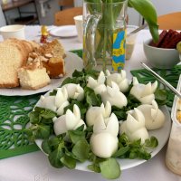 Zdjęcie WhatsApp 2025-04-16 o 14.15.36_d79a34e0