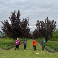 Zdjęcie WhatsApp 2025-05-06 o 14.00.10_6e5b82e9