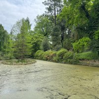 Zdjęcie WhatsApp 2025-05-06 o 14.00.16_5b4e363c