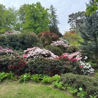 Zdjęcie WhatsApp 2025-05-06 o 14.00.17_07d27a28