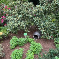 Zdjęcie WhatsApp 2025-05-06 o 14.00.17_8cb8f460