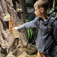 Zdjęcie WhatsApp 2025-05-24 o 19.41.26_fe26e11e