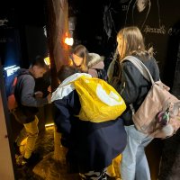 Zdjęcie WhatsApp 2025-05-24 o 19.41.27_37e005d9