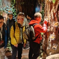 Zdjęcie WhatsApp 2025-05-24 o 19.41.54_09034a6a