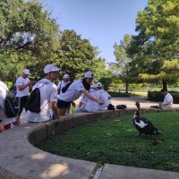 Zdjęcie WhatsApp 2025-07-30 o 09.25.59_00c2e57b