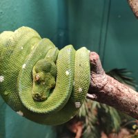 Zdjęcie WhatsApp 2025-07-30 o 09.25.59_4d3ba396