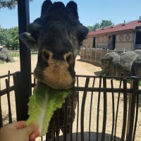 Zdjęcie WhatsApp 2025-07-30 o 09.25.59_806c6737