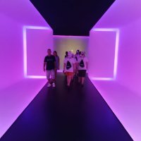 Zdjęcie WhatsApp 2025-08-05 o 09.11.00_dfeefa39