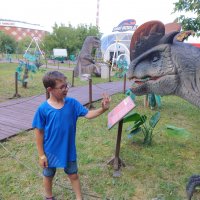 Zdjęcie WhatsApp 2025-08-25 o 16.08.34_bb99cca6