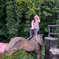 Zdjęcie WhatsApp 2025-08-25 o 16.11.50_34f94c56