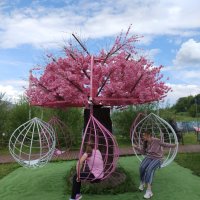 Zdjęcie WhatsApp 2025-08-25 o 16.11.50_ca773310