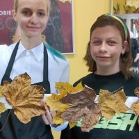 Zdjęcie WhatsApp 2025-11-13 o 20.29.58_d69149f3