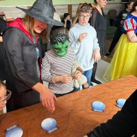 Zdjęcie WhatsApp 2025-11-28 o 12.53.52_ae17d772