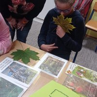 Zdjęcie WhatsApp 2025-12-18 o 15.29.58_0ff92ae6