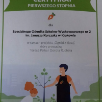 certyfikat 1 stopnia