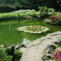 staw przy alpi Dsc_0328