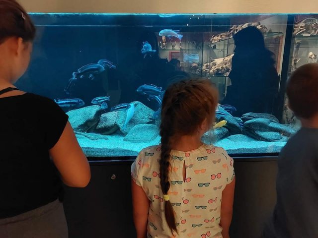 292696840_585407673094197_6883498425265235426_n (1)