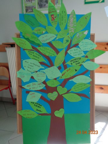 341545726_769188534619354_8932770299116133449_n (1)