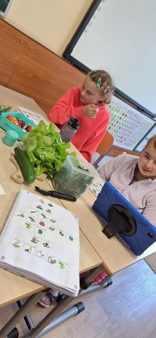 437481890_896971588893552_8699728869102735042_n (1)