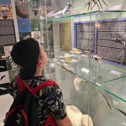 524120341_1213473553910019_7586840461469594671_n (1)