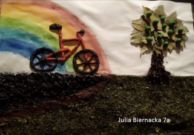 Julia Biernacka 7aa