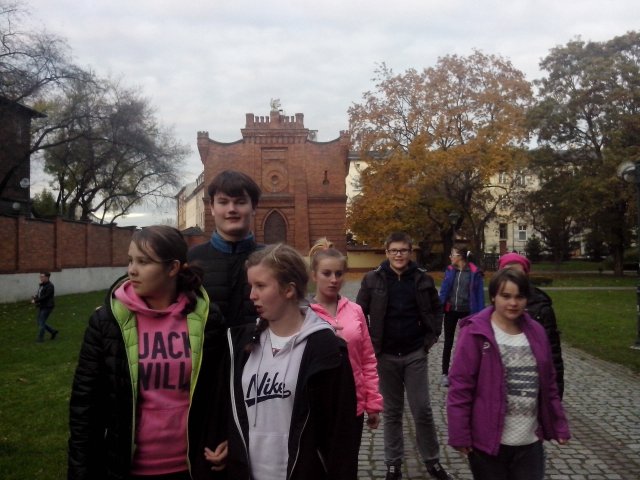 Park Strzelecki  (1)