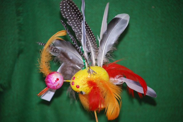 Weronika Kiełkowicz