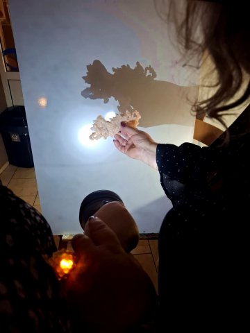 WhatsApp Image 2025-11-26 at 23.32.40 (1)