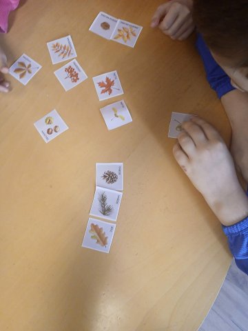 WhatsApp Image 2025-12-18 at 08.35.26 (3)