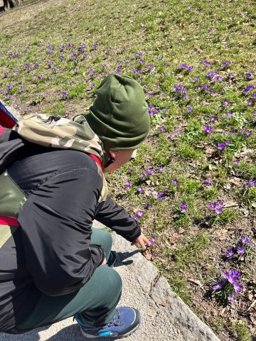 Zdjęcie WhatsApp 2025-03-27 o 12.44.05_5bbe6c21