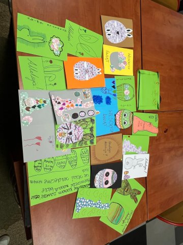 Zdjęcie WhatsApp 2025-04-14 o 21.45.43_83e8b18a