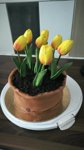 Zdjęcie WhatsApp 2025-04-29 o 19.32.20_5d27a502