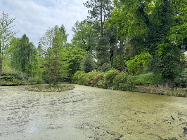 Zdjęcie WhatsApp 2025-05-06 o 14.00.16_5b4e363c