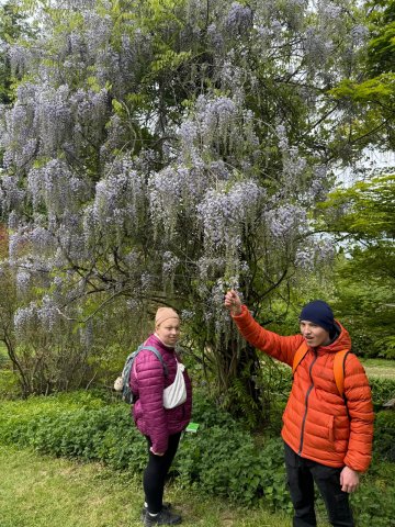 Zdjęcie WhatsApp 2025-05-06 o 14.00.16_99b50350